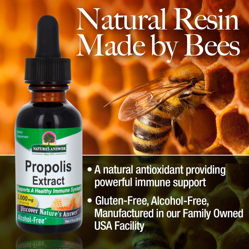 [Australia] - Nature's Answer Propolis Resin Extract | Herbal Supplement | All-Natural Immune Support | Vegan, Alcohol-Free & Gluten-Free 1oz 1 Fl Oz (Pack of 1) 