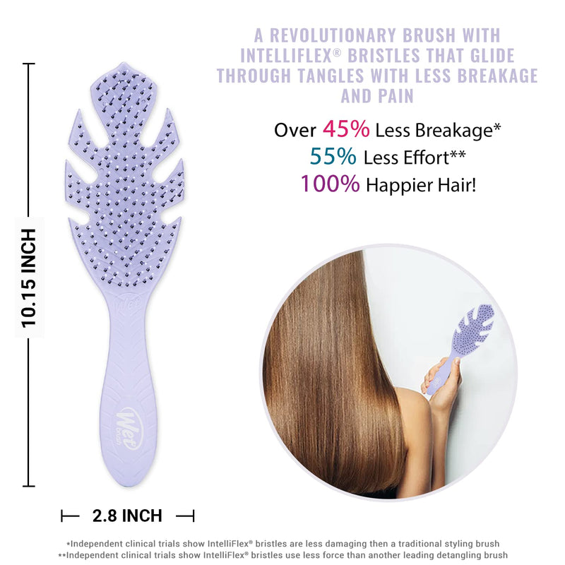 [Australia] - Wet Brush Go Green Detangler Brush By For Unisex - 1 Pc Hair Brush Lavender 