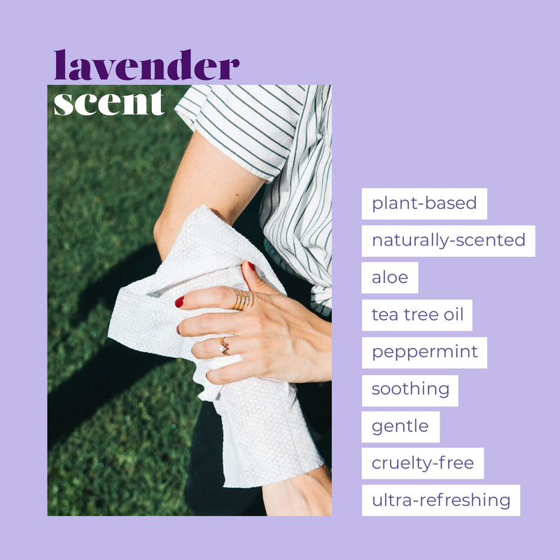 [Australia] - Goodwipes Really Big Body Wipes, Lavender Scent, Plant Based and Hypoallergenic, Wipe Away Sweat and Odor, for Face and Body, with Aloe and Ginseng (10 Count) 10 Count (Pack of 1) 