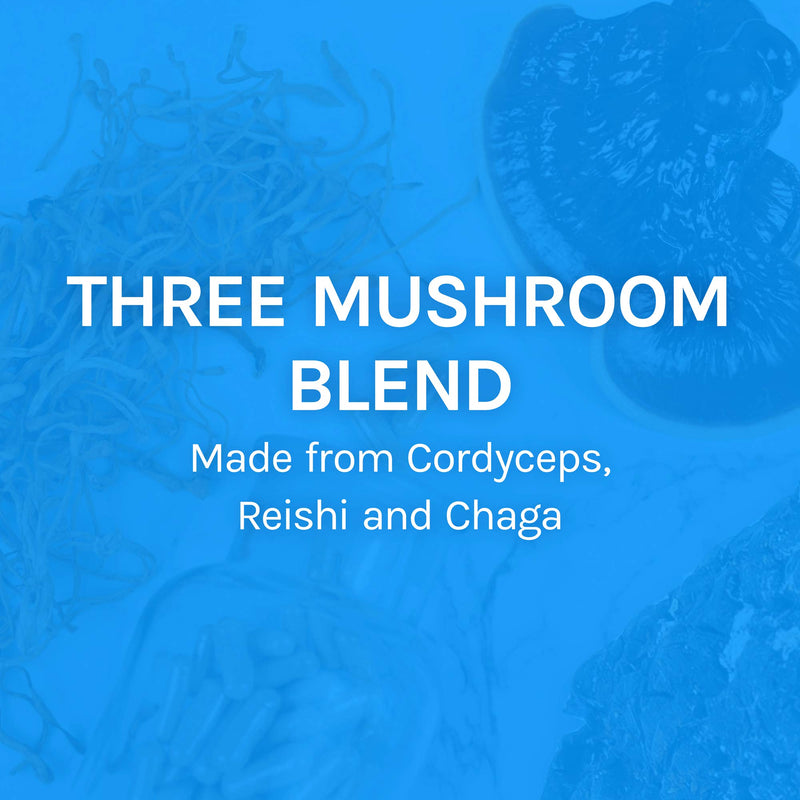 [Australia] - Host Defense, Breathe Capsules, Respiratory Support, Mushroom Supplement with Cordyceps, Reishi and Chaga, Unflavored, 60 60 Count (Pack of 1) Standard Packaging 