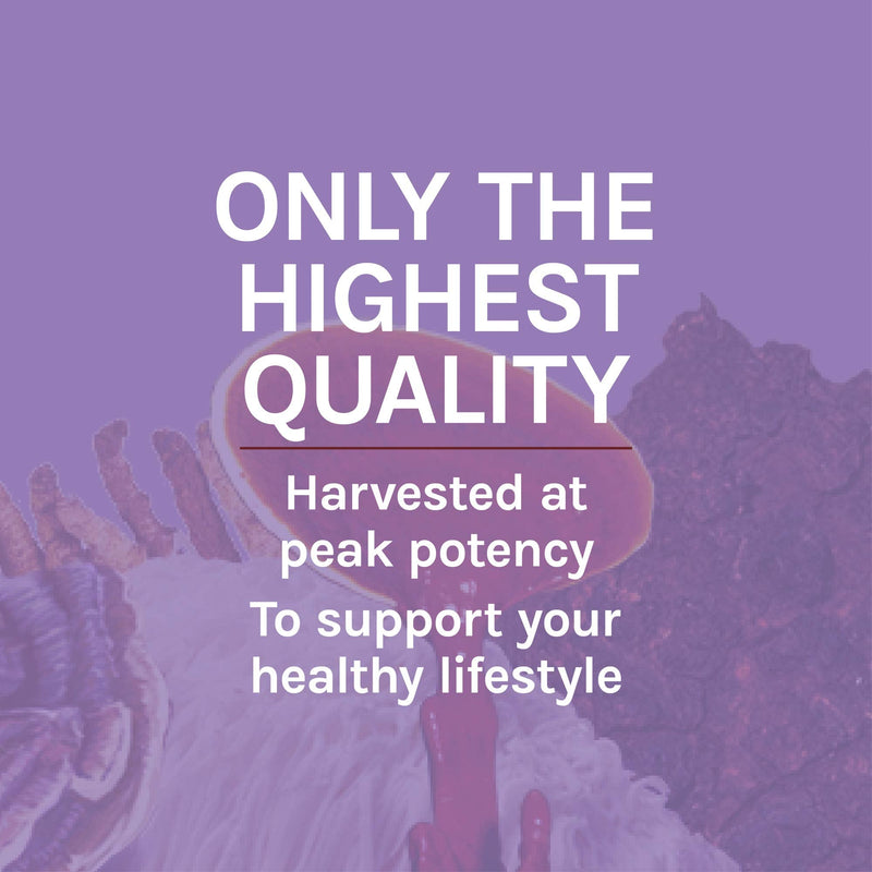 [Australia] - Host Defense, Lion's Mane Capsules, Promotes Mental Clarity, Focus and Memory, Mushroom Supplement, Unflavored, 120 120 Count (Pack of 1) Standard Packaging 