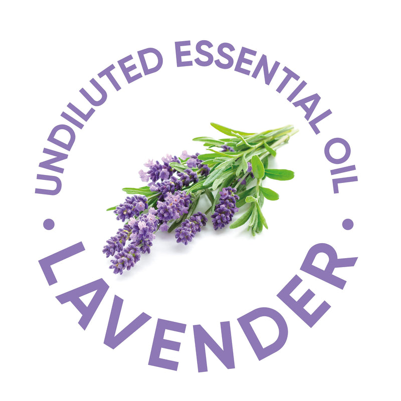 [Australia] - 100% Pure Natural French Lavender Essential Oil 10ML for Bath, Massage, Vaporising Therapeutic Grade Pure & Undiluted 