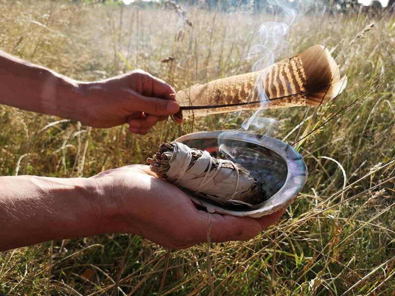 [Australia] - Pack of 2: WHITE SAGE Quality by Native Spirit XL Smudge Stick 7''-8'' (~18-21cm; je ~40-55gr) Incense fresh from California, buffalo sage, indian sage, wands 