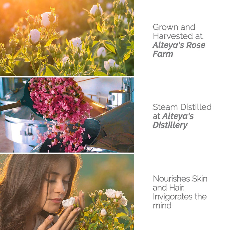 [Australia] - Alteya Organic White Rose Water Spray 240ml Glass bottle- 100% USDA Certified Organic Authentic Pure Natural Rosa Alba Flower Water Steam-Distilled and Sold Directly by the Rose Grower Alteya Organics 