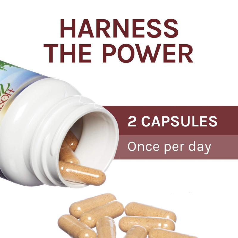 [Australia] - Host Defense, Reishi Capsules, Supports General Wellness and Vitality, Daily Mushroom Mycelium Supplement, USDA Organic, Gluten Free, 120 Vegetarian Capsules (60 Servings) 120 Count (Pack of 1) 