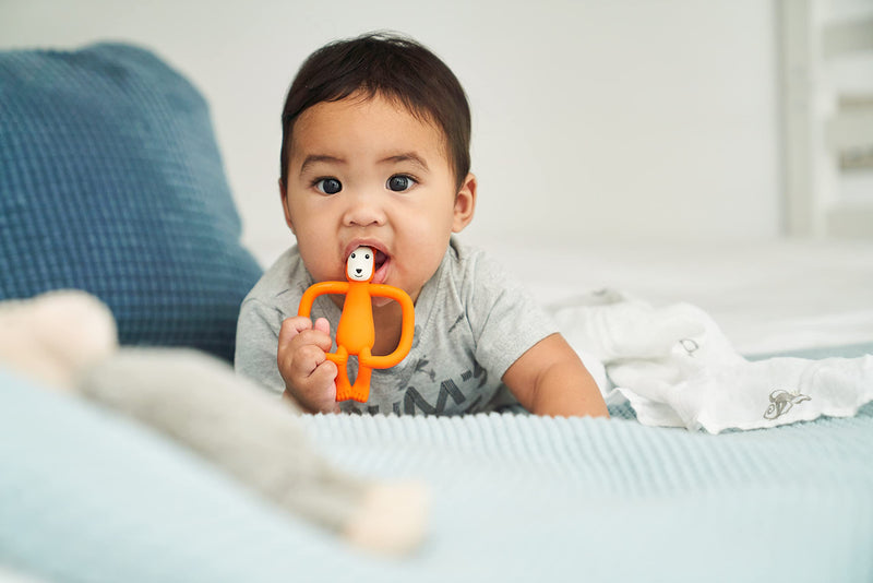 [Australia] - Matchstick Monkey, Bramble Bear Baby Teething Toy, Stimulates and Massages Sore Gums, 3 Months Old + 1 Animal Teether 