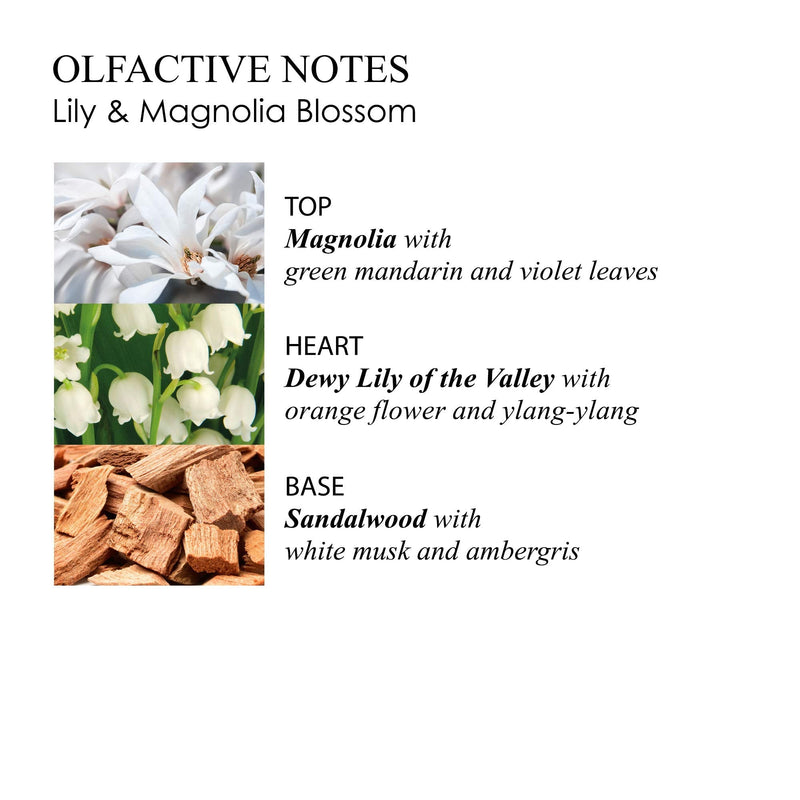 [Australia] - Molton Brown Lily & Magnolia Blossom Body Lotion, 300 ml 