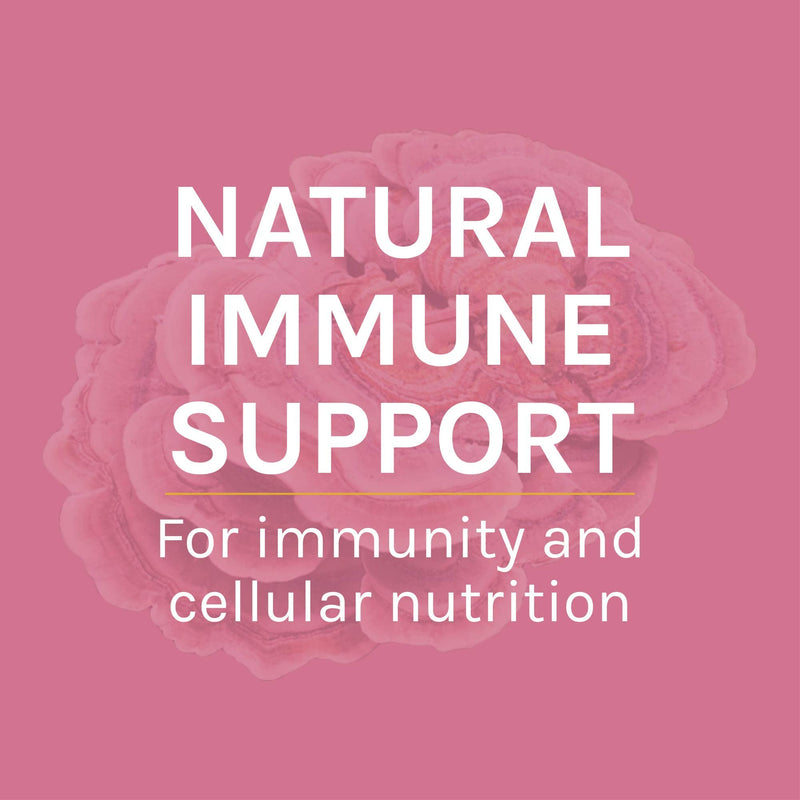 [Australia] - Host Defense, Turkey Tail Mushroom Powder, Supports Immune Health, Mushroom Supplement, 3.5 oz, Plain 