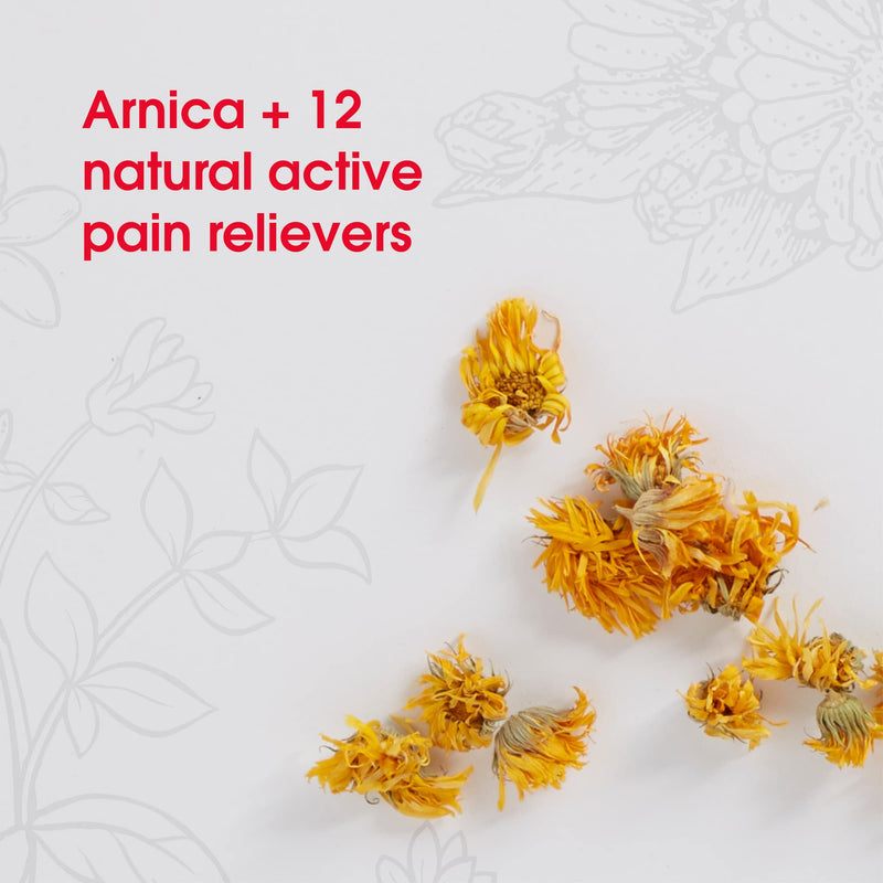 [Australia] - T-Relief Pet Pain Relief Arnica +12 Powerful Natural Medicines Help Reduce Muscle, Joint & Hip Pain, Soreness, Stiffness, Injuries in Dogs & Cats - Vet Approved, Fast-Acting Soother - 90 Tablets 