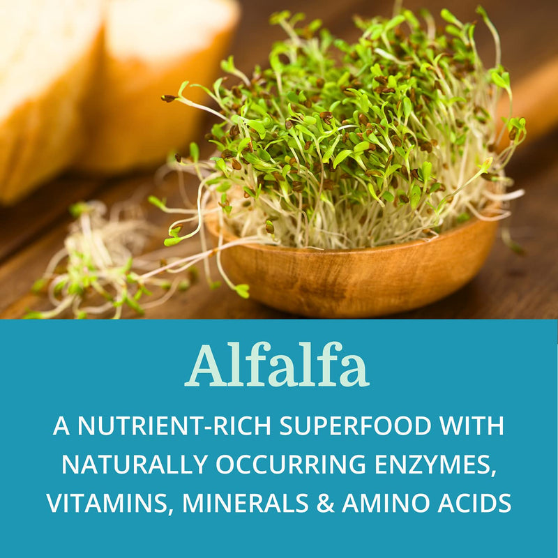[Australia] - SuperDigest — Morter HealthSystem Best Process Alkaline — Multi-Enzyme Digestive Support — Digestive Enzymes with Alfalfa, Papain & Bromelain (Vegetarian Friendly) 1 
