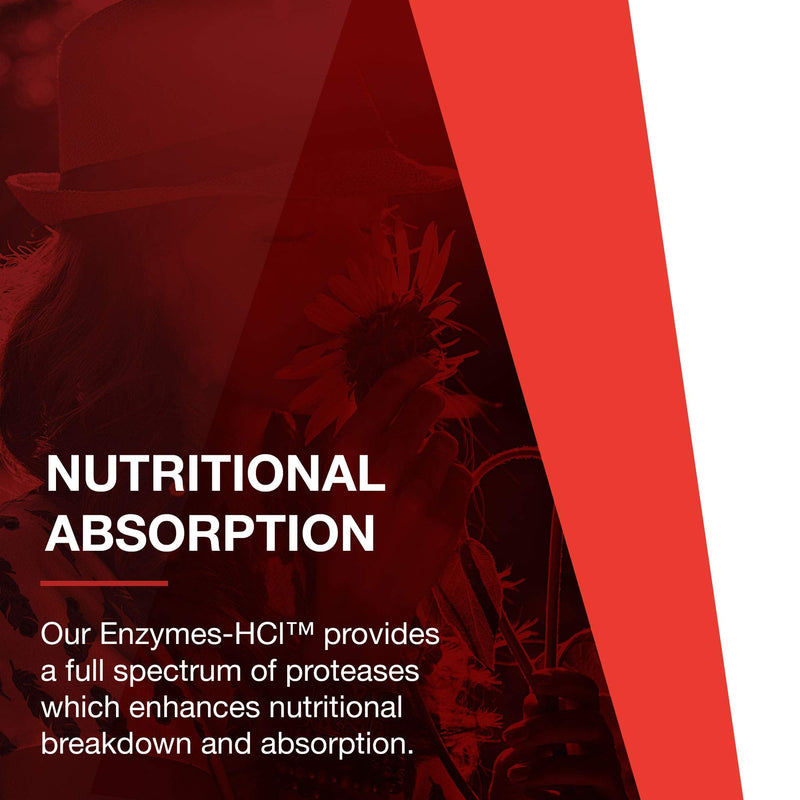 [Australia] - Protocol Enzymes-HCl - Betaine HCl and Digestive Enzymes with Bromelain - 120 Caps 