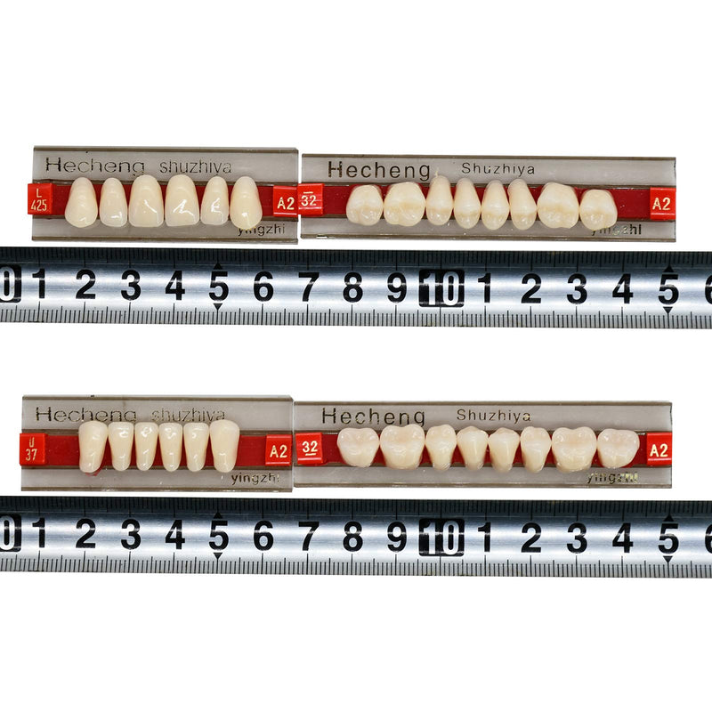 [Australia] - Angzhili 84 Pcs Dental Acrylic Resin Denture False Teeth 3 Sets Synthetic Polymer Resin Denture Teeth 23 Shade A2 Upper + Lower Dental Materials 