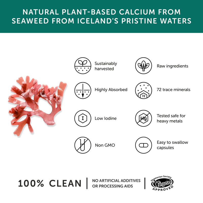 [Australia] - Calcium – Together Health – Seaweed-Based Calcium – 72 Trace Minerals – Vegan Friendly – Made in The UK – 60 Vegecaps 60 Count (Pack of 1) 