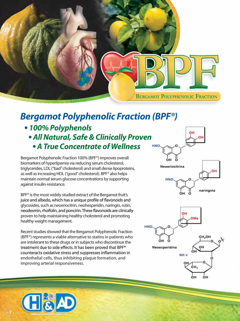 [Australia] - Organic Citrus Bergamot Extract - 60 Capsules - High Strength 38% Bergamot Polyphenols - 500mg - Clinically Studied BPF® - UK Made Supplement - Zero Additives - GMP Standards - Vegan 60 Count (Pack of 1) 