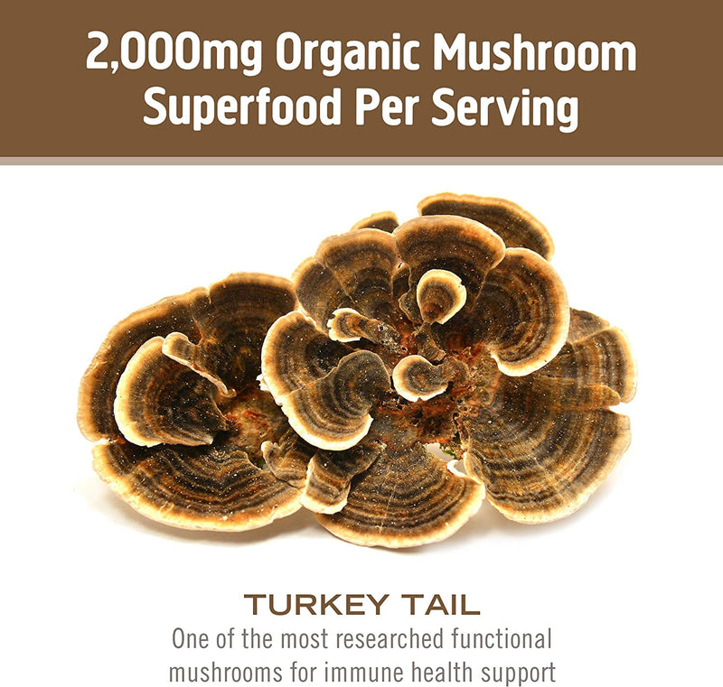[Australia] - Om Mushroom Superfood Turkey Tail Mushroom Capsules Superfood Supplement, 90 Count, 30 Days, Immune Support, Polysacchrides, Beta-Glucans, Gut Health & Holistic Defense Mushroom Supplement Turkey Tail Capsules 90 Count (Pack of 1) 