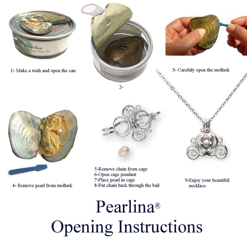 [Australia] - Pearlina Princess carriage Cultured Pearl Oyster Necklace Set Silver-tone Cage w/Stainless Steel Chain,18 