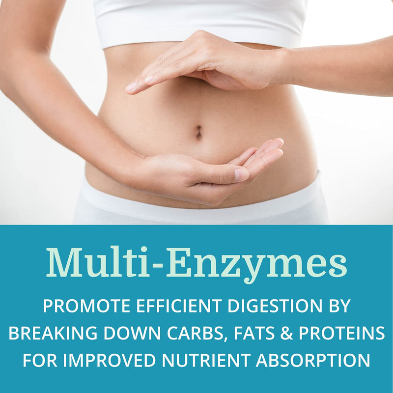 [Australia] - SuperDigest — Morter HealthSystem Best Process Alkaline — Multi-Enzyme Digestive Support — Digestive Enzymes with Alfalfa, Papain & Bromelain (Vegetarian Friendly) 1 