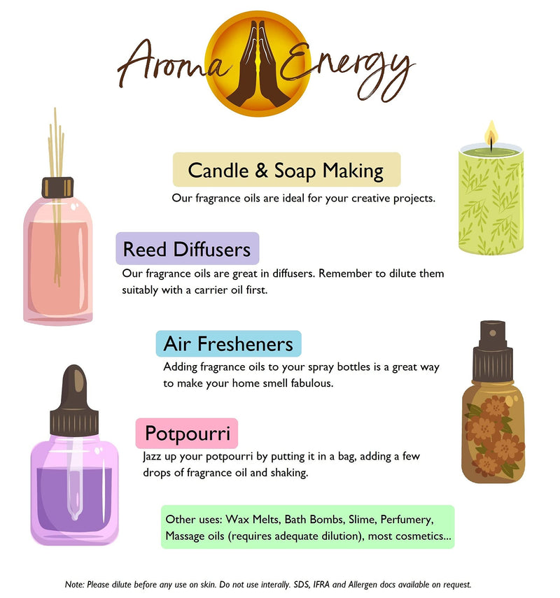 [Australia] - Space Alien Fragrance Oil 10ml - For Aromatherapy Wax Melt, Reed Diffuser, Candle Making, Home Made Soap, Bath Bomb, Potpourri, Slime, Oil Burner Aliens 10 ml 