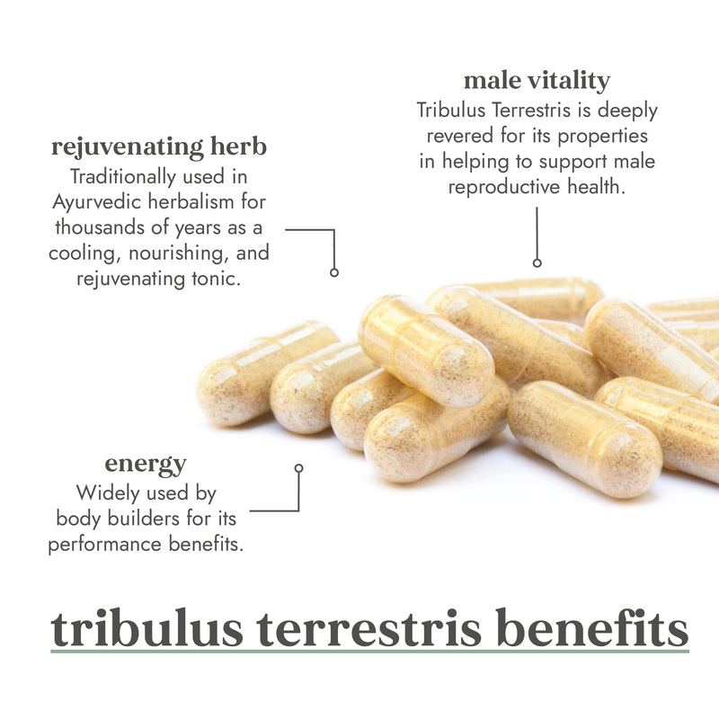 [Australia] - Fushi Organic Tribulus Terrestris (Gokshura), 60 Caps | Fresh-Ground Whole Food | Ayurvedic herb for Male Health & Sports Performance | Ethical & Vegan | Manufactured in the UK 
