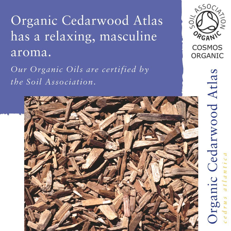 [Australia] - Absolute Aromas Organic Cedarwood Essential Oil 10ml - 100% Pure, Natural, Undiluted, Vegan and Cruelty-Free - For use in a Diffuser and Aromatherapy Blends 10 ml (Pack of 1) 