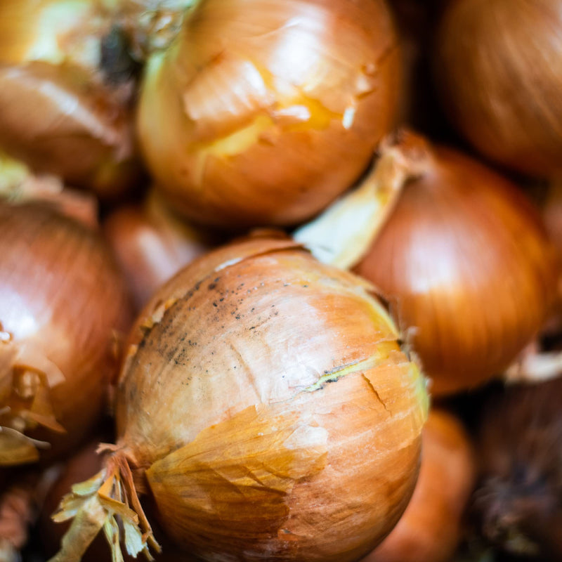 [Australia] - Frontier Co-op Onion, White Chopped, Certified Organic, Kosher, Non-irradiated | 1 lb. Bulk Bag | Sustainably Grown | Allium cepa 