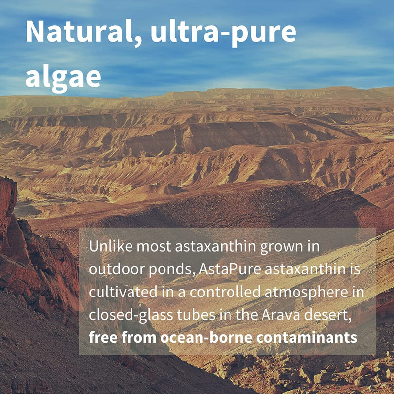 [Australia] - Pure & Essential Astaxanthin Complex, 42 mg Astapure Providing 4 mg H. Pluvialis Astaxanthin, 90 Vegan Capsules 