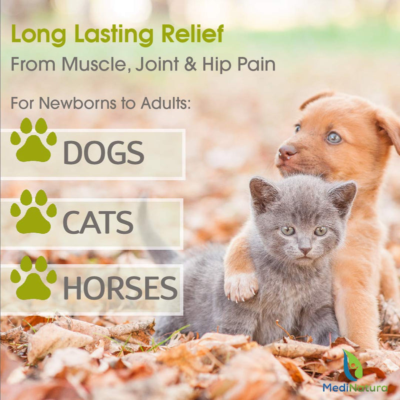 [Australia] - T-Relief Pet Pain Relief Arnica +12 Powerful Natural Medicines Help Reduce Muscle, Joint & Hip Pain, Soreness, Stiffness, Injuries in Dogs & Cats - Vet Approved, Fast-Acting Soother - 90 Tablets 