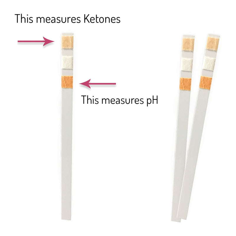 [Australia] - Keto-pH Urine Test Strips - Test Ketones and pH All in one Test Strip! 100 Strips for Keto, Alkalinity - Acidity Levels. 