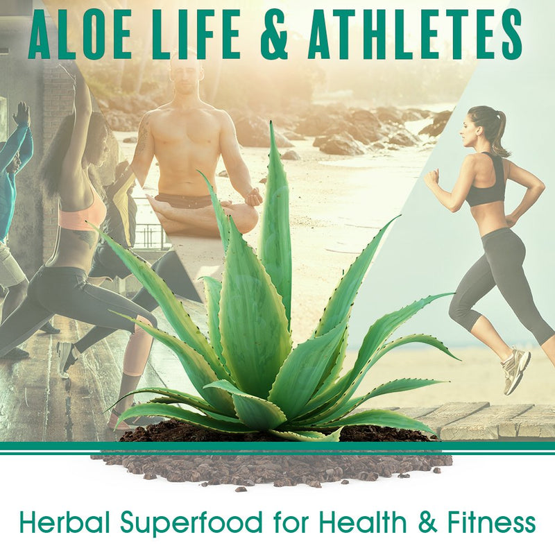 [Australia] - Aloe Life - Herbal Aloe Ear Wash Plus, Provides Soothing Relief for Ear Irritations, Swimmer’s Ear, Discomfort & Itchy Ears, Whole Leaf Aloe Vera with Herbs, Safe for Animals, Includes Dropper (1 oz) 