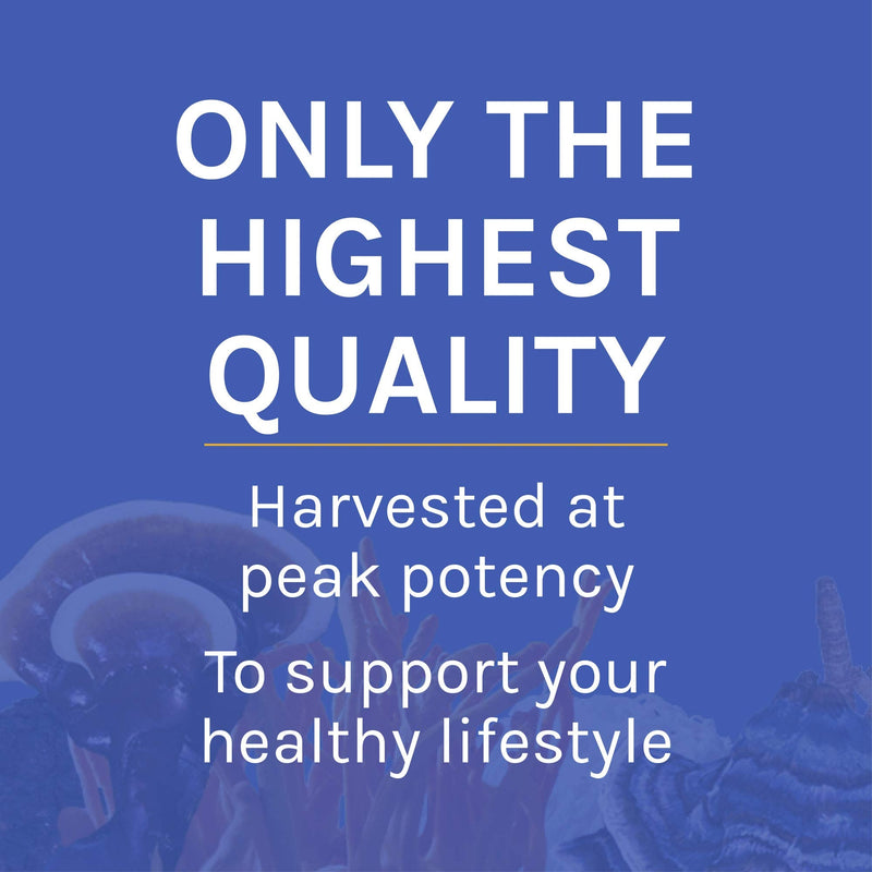 [Australia] - Host Defense, Stamets 7 Mushroom Powder, Daily Immune Support, Mushroom Supplement, 3.5 oz, Plain 