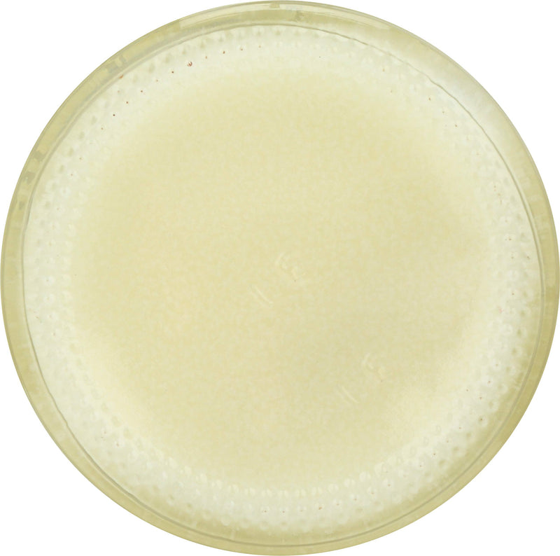 [Australia] - Tea Tree Therapy Antiseptic Ointment 2oz 