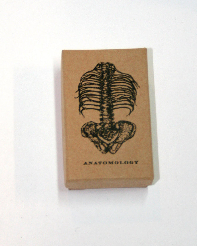 [Australia] - Anatomical Heart Lapel pin 