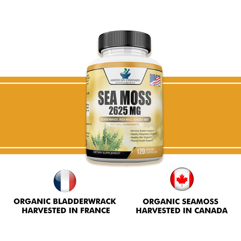 [Australia] - Organic Sea Moss 2625mg, Seamoss, Hand Harvested, Irish Moss Bladderwrack and Burdock Root, Sea Moss Capsules, Irish Sea Moss Alternative to Sea Moss Powder, Sea Moss Gel, 120 Vegan Capsules 