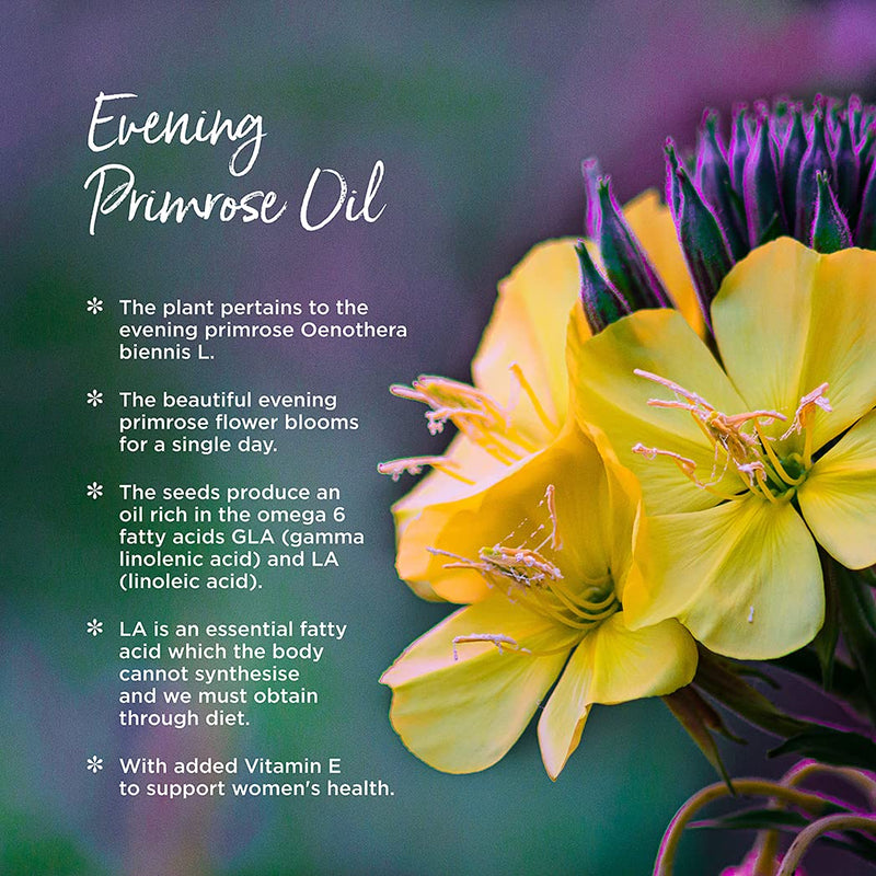 [Australia] - Healthspan Evening Primrose Oil 500mg (180 Capsules) | Omega 6 Fatty Acids | Women's Health | Added Vitamin E | Gamma Linolenic Acid & Linoleic Acid | Protects Cells from Oxidative Stress | Vegan 