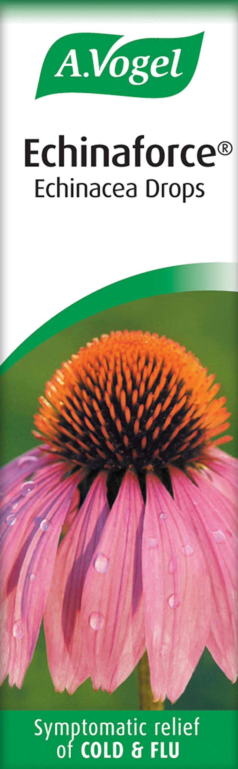 [Australia] - A.Vogel Echinaforce Echinacea Drops | Relieves Cold & Flu Symptoms by Strengthening the Immune System |15ml 15 ml (Pack of 1) 