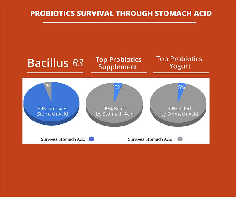 [Australia] - New Bacillus B3 Complex Probiotics & Bioactive Enzymes - Spore-Based Organisms - SBO - Better Survivability Leading Probiotics - B Coagulans & B Subtilis - Non GMO - 60 Capsules 