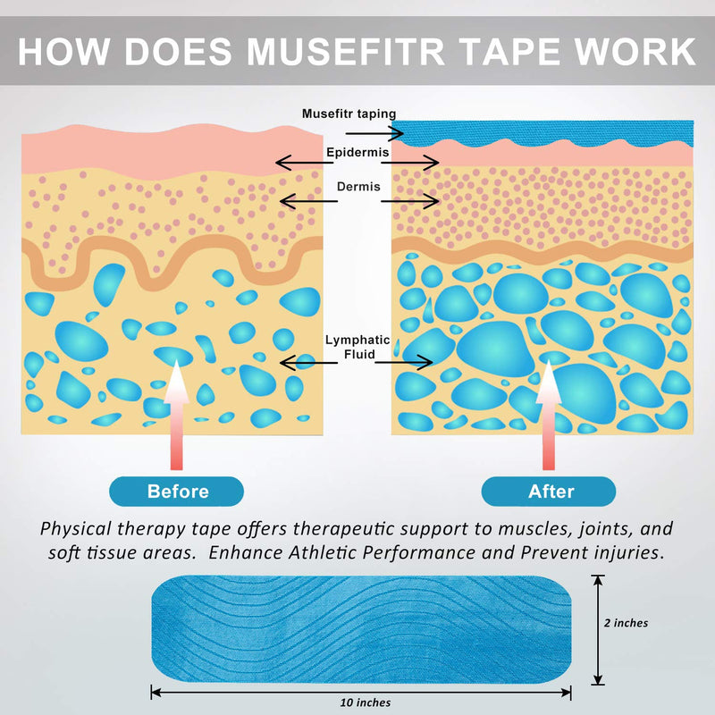 [Australia] - Kinesiology Tape Precut 3 Rolls-Athletic Sports Tape for Muscle & Joints-Physical Therapy Tape for Knee,Ankle,Shoulder,Plantar Fasciitis- Latex Free and Water Resistant-60 Strips, Blue 