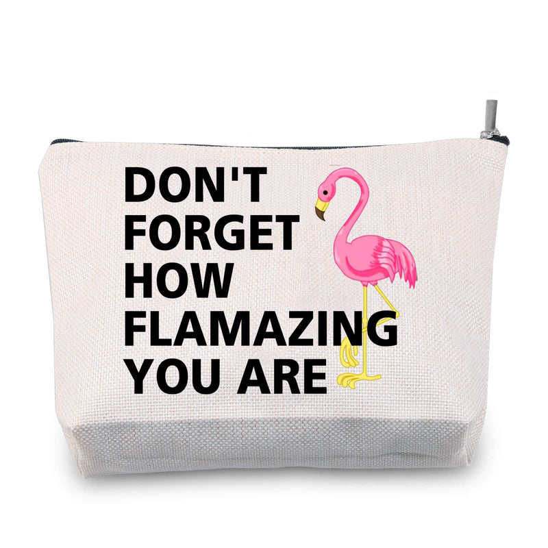 [Australia] - TSOTMO Novelty Makeup Bag Flamingo Gift DON'T FORGET HOW FLAMAZING YOU ARE Cosmetic Bags Inspirational Gift for BFF (FLAMAZING) 