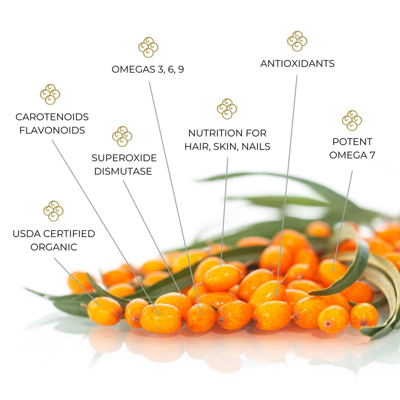 [Australia] - SIBU Omega-7 Softgels, Pure Organic Himalayan Sea Buckthorn, Max Potency, 60ct 60 Count (Pack of 1) 