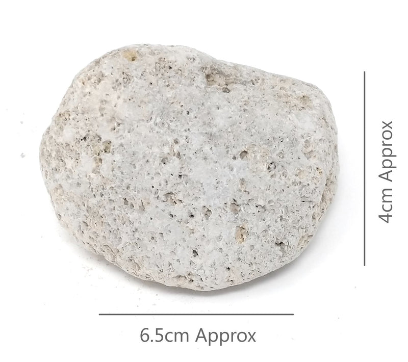 [Australia] - Pumice Stone Foot Care Scruber Dead Hard Skin Callus Remover Pedicure Tool 100% natural Exfoliating Hard Skin from the Feet 