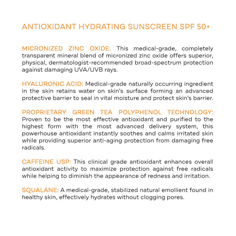 [Australia] - Replenix Antioxidant Hydrating Sunscreen SPF 50+, New Look, Packaging May Vary 