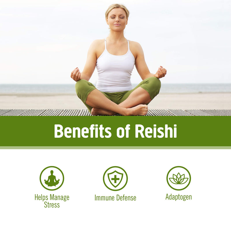 [Australia] - Om Mushroom Superfood Reishi Organic Mushroom Powder, 3.5 Ounce, 50 Servings , Adaptogen, Stress & Immune Support, Superfood Mushroom Supplement Reishi Powder 3.5 Ounce (Pack of 1) 