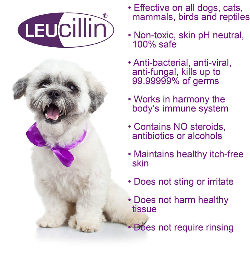 [Australia] - Leucillin Natural Antiseptic Dropper | Antibacterial, Antifungal & Antiviral | Ear Drops & Eye Drops for Dogs, Cats & All Animals | for All Skin Care Health | 50ml 