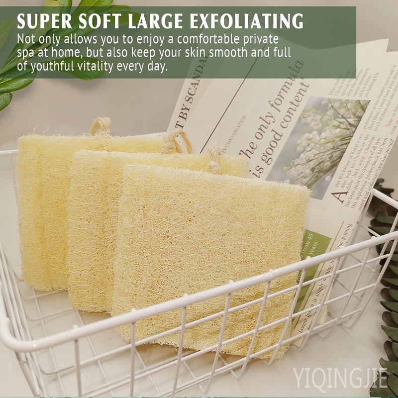 [Australia] - Natural Shower Loofah Sponge, Bath Exfoliating Loofa Body Scrubber, 5.5 ‚ÄúSoft and Easy Foaming Spa Lufa Sponges (3 pack) 