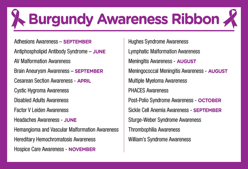 [Australia] - Fundraising For A Cause | Burgundy Large Flat Ribbon Shaped Pins – Burgundy Ribbon Pins for Sickle Cell Anemia, Myleoma Awareness, Meningitis and Hospice Awareness – Fundraising & Awareness 1 Piece 