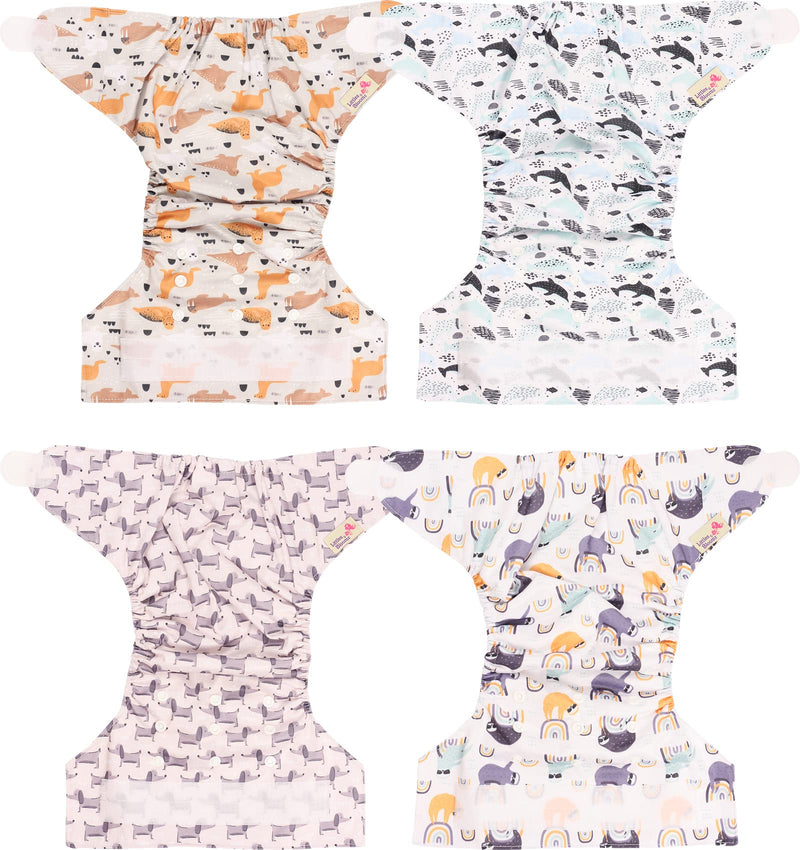 [Australia] - Littles and Bloomz Baby Reusable Pocket Nappy Cloth Diaper, Standard Hook-Loop, 4 Nappies, FLV2-0401 0401 