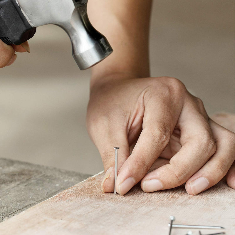 [Australia] - Mr. Pen- Nail Assortment Kit, 600pc, Small Nails, Nails, Nails for Hanging Pictures, Picture Hanging Nails, Finishing Nails, Hanging Nails, Picture Nails, Wall Nails for Hanging, Pin Nails 
