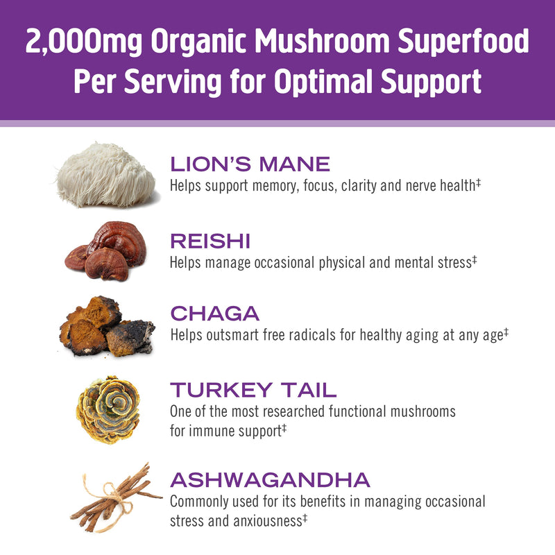 [Australia] - Om Mushroom Superfood Hot Chocolate Blend Mushroom Powder, Single Serve, 10 Count, Dutch Cocoa, 2g of Sugar, 25 Calories, Lion's Mane, Reishi, Chaga, Turkey Tail, Focus and Stress Support 10 Servings 