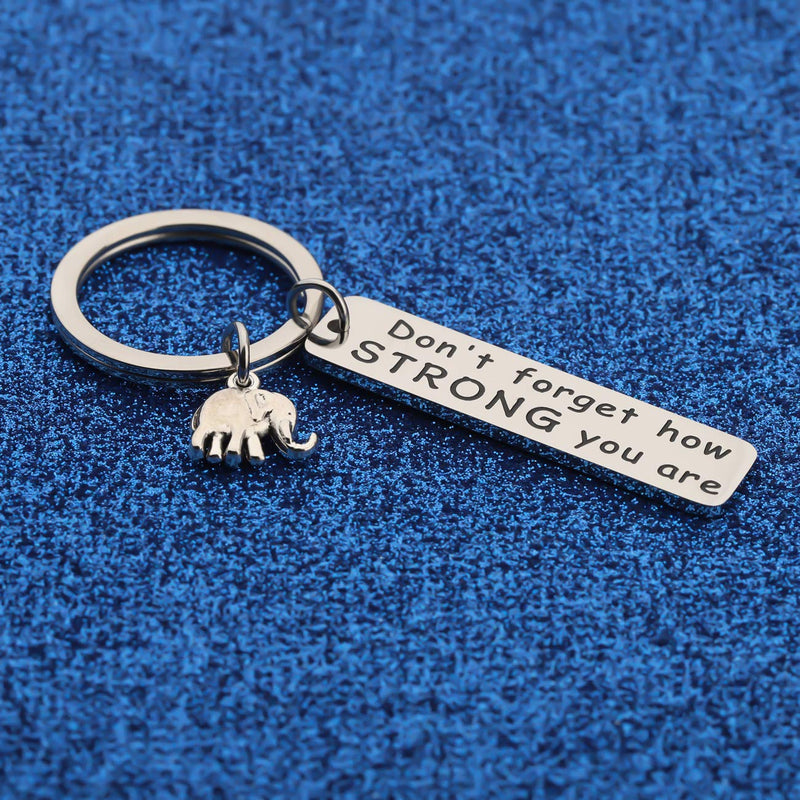 [Australia] - WUSUANED Friendship Keychain Never Forget How Strong You Are Elephant Jewelry Inspirational Gift For Elephant Lovers elephant keychain 