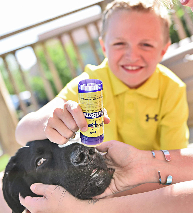 [Australia] - Handy Hound SnoutScreen | Nose Balm | Moisturizing All Natural Pet Balm and Sunscreen Heals Dry, Chapped, Cracked, and Crusty Dog Snout and Protects from Sun and Discourages Insects, 2 oz 